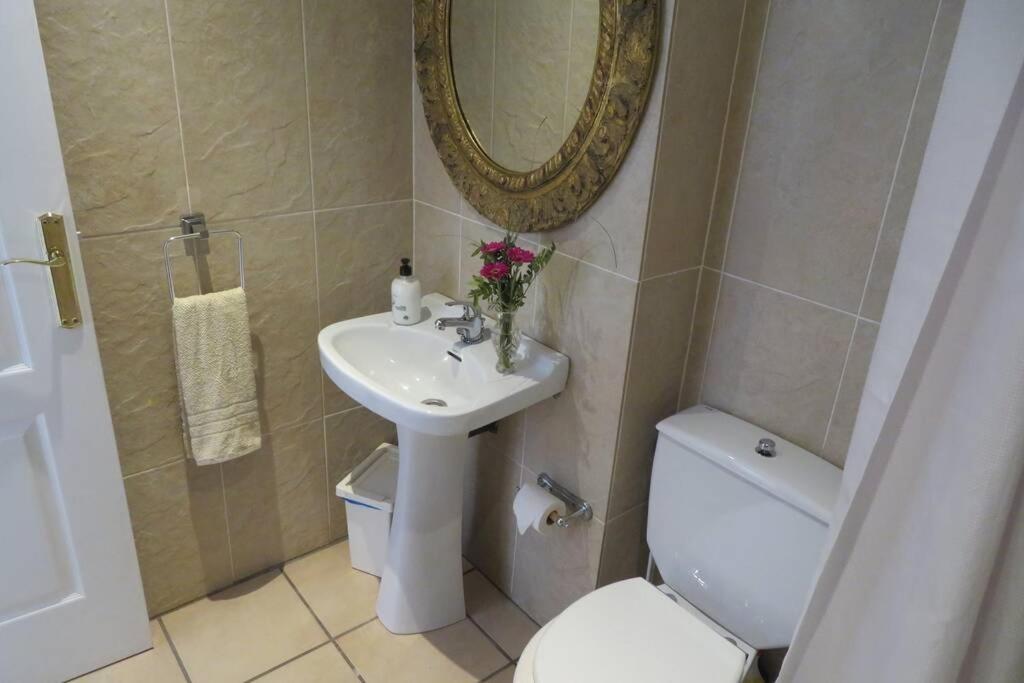 Apartamento Alemanya 35 Torroella de Montgrí Exterior foto